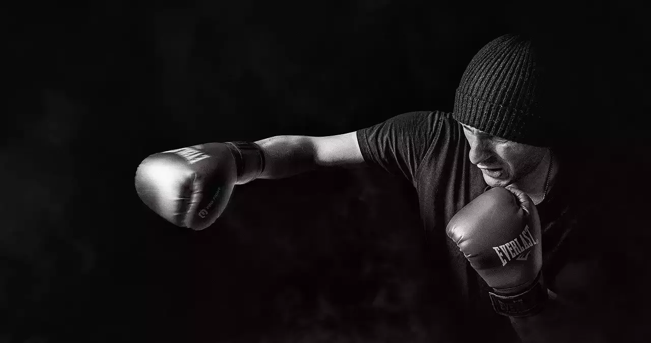 Die größten Boxer aller Gewichtsklassen