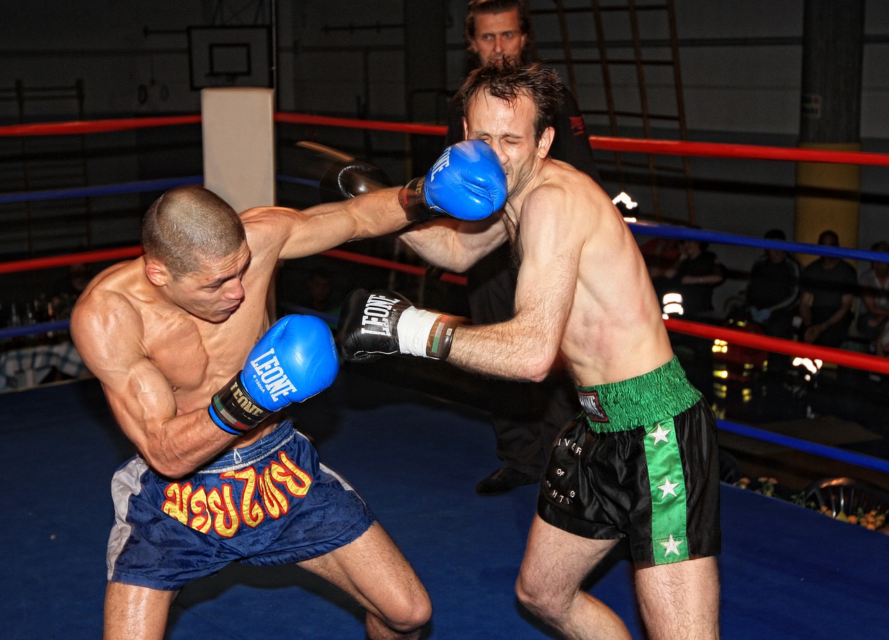 MMA-Geschichte