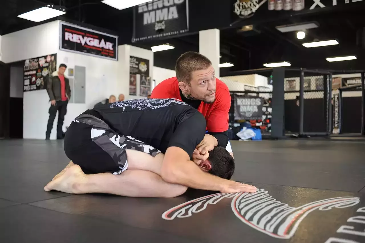 MMA: Die ultimative Kampfmeisterschaft