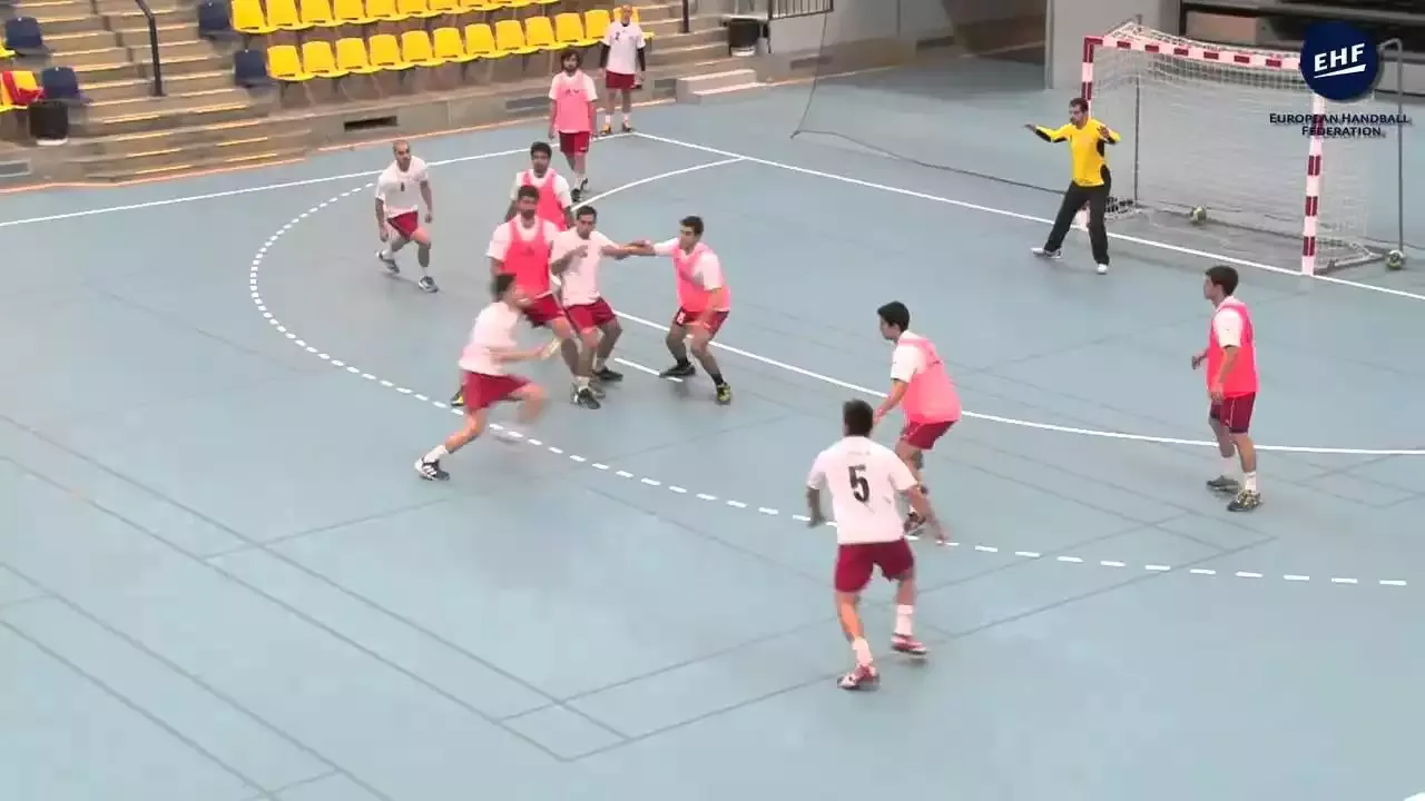 Die EHF-Kontroverse: Im Prandi-Fall gegen Schweden aufstehen
